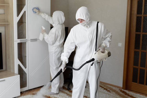 Best Commercial Mold Remediation in Tioga, TX