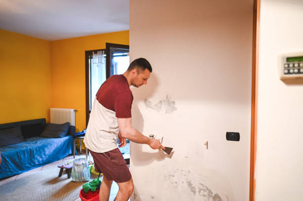 Best Post-Remediation Services in Tioga, TX